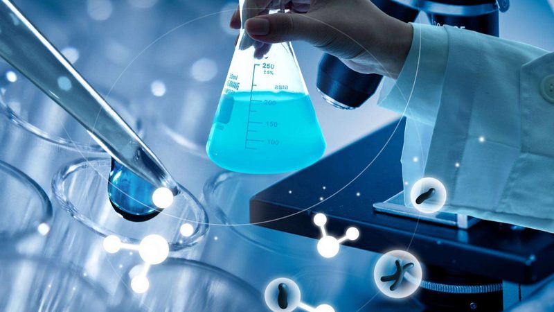 生物科技检测技术服务外包：揭秘背后的关键要素**