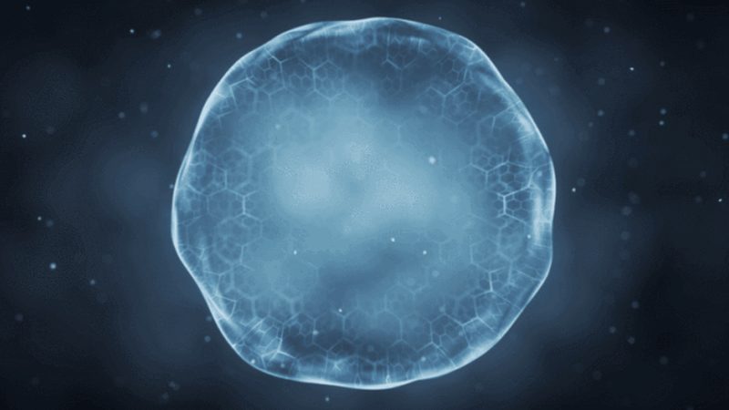 生物医药研发外包：行业标准揭秘与趋势洞察