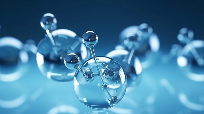 培养基成分揭秘：分类与作用的深层解析**