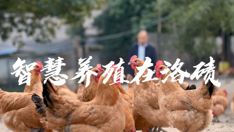 基因检测与筛查：揭秘批发价格背后的真相
