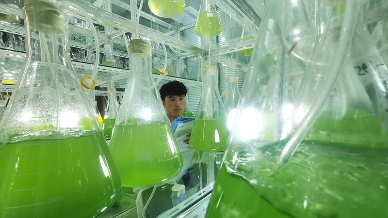 冻存管与离心管：如何选择合适的实验室耗材？**